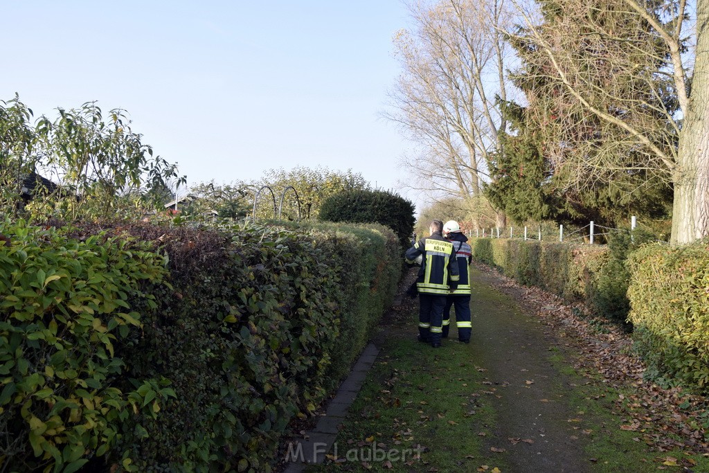 Feuer 1 brannten 3 Lauben Koeln Fuehlingen Kriegerhofstr P121.JPG - Miklos Laubert